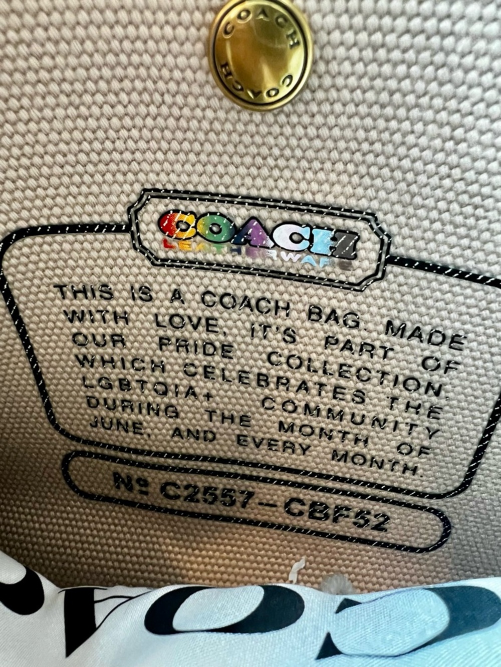 Coach Rainbow Embroidered Cargo Tote 26 - NWT - Picture 4 of 11